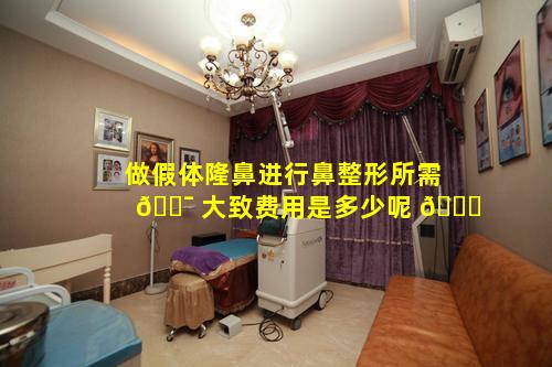 做假体隆鼻进行鼻整形所需 🐯 大致费用是多少呢 🐎